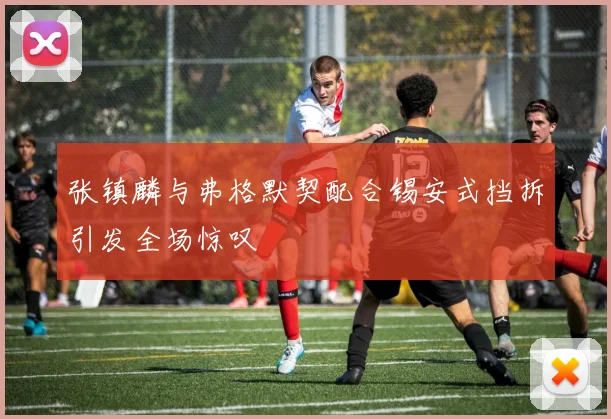 张镇麟与弗格默契配合锡安式挡拆引发全场惊叹
